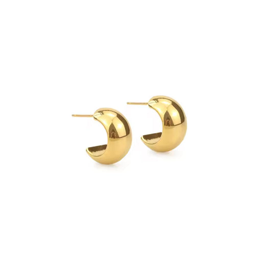 Catia Earrings